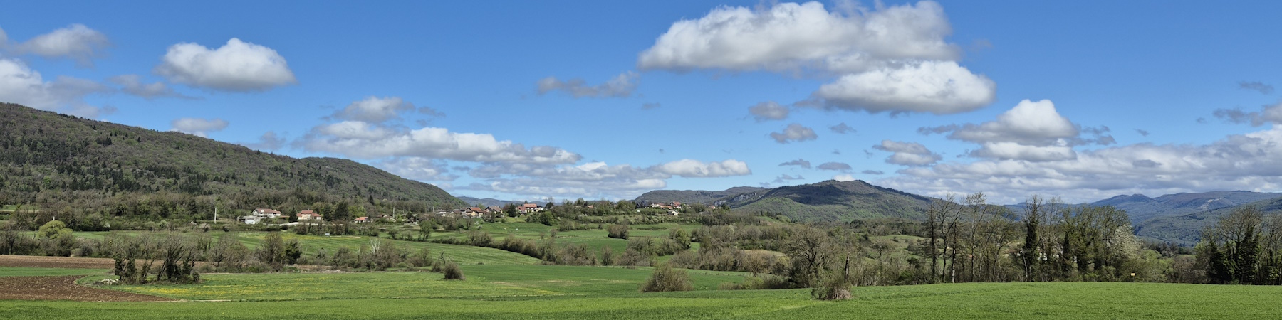 Widescreen Image